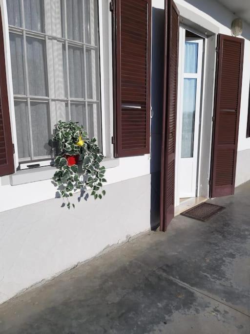 Casa Bruna San Martino Alfieri Ngoại thất bức ảnh